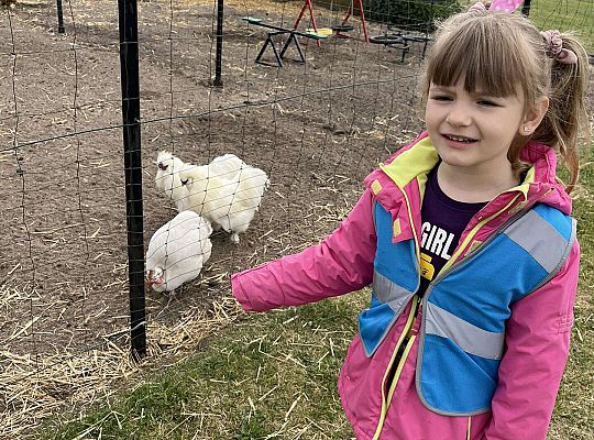 Dzieci oglądają zwierzęta