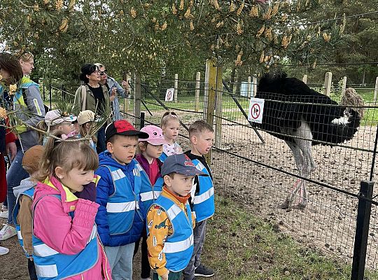 Dzieci oglądają zwierzęta