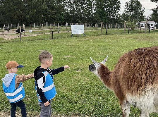 Dzieci karmią zwierzęta