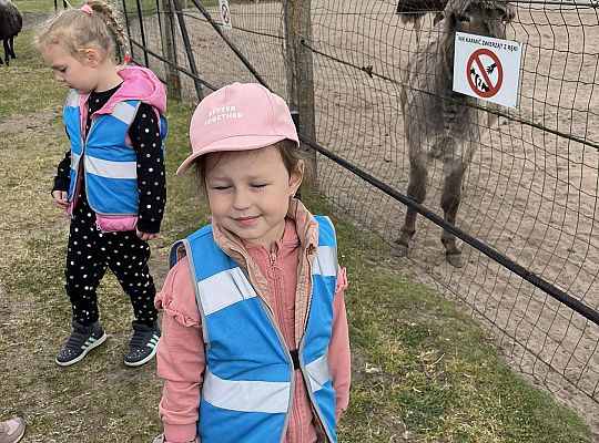 Dzieci oglądają zwierzęta