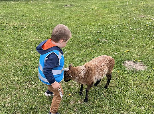 Dzieci karmią zwierzęta