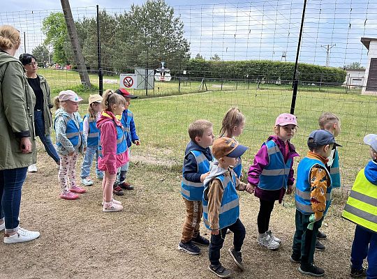 Dzieci oglądają zwierzęta