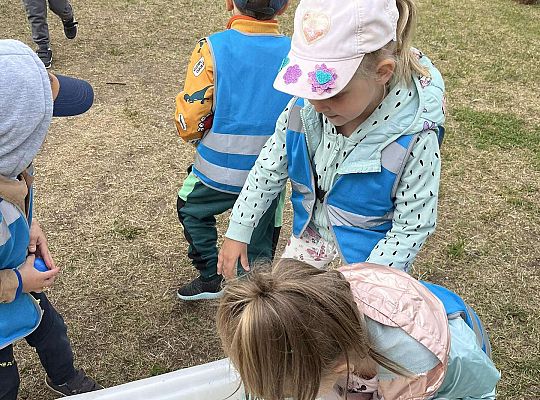 konkurencje sportowe