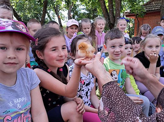Dzieci poznają kurczaczki