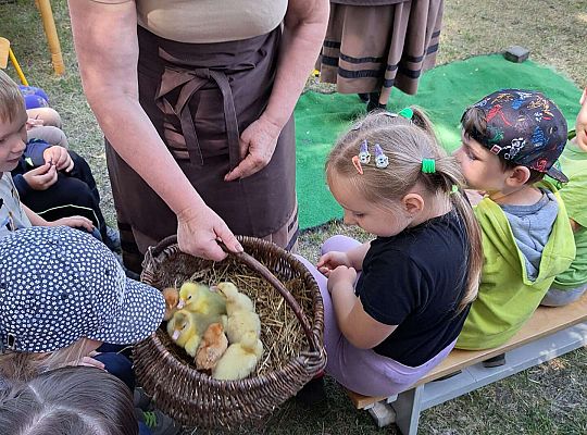 Dzieci poznają kurczaczki