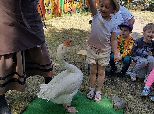 Dziewczynka karmi gąskę