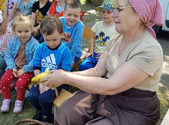 Pani pokazuje pisklaki