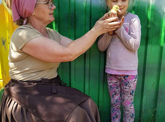 Gr. I i II "Wesoły kurnik"