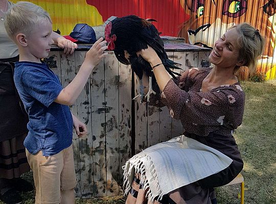 Chłopiec dotyka koguta