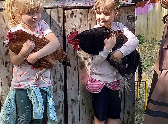 Dziewczynki trzymają kury