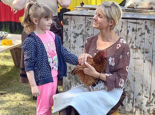 Dziewczynka głaszcze kurę