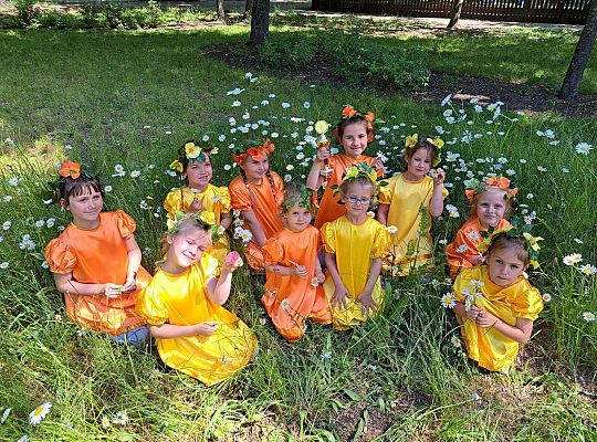 Grupa dziewczynek na łące