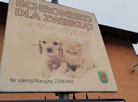 Karma dla Schroniska