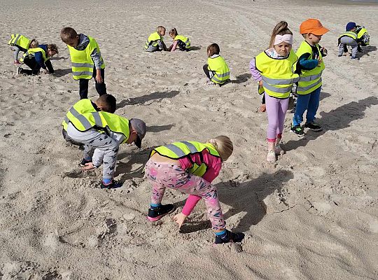 Gr. III Plaża w Łebie