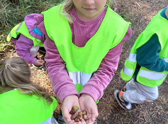 Dziewczynka pokazuje leśne skarby