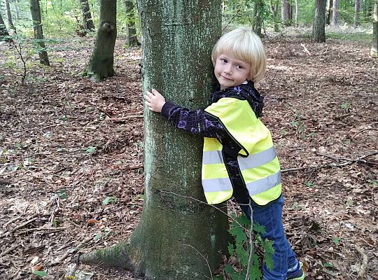 Gr. III Wycieczka do lasu