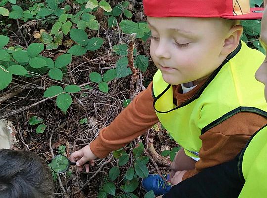 Gr. III Wycieczka do lasu