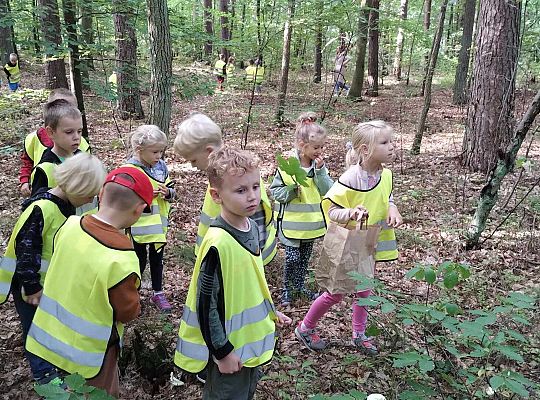 Gr. III Wycieczka do lasu