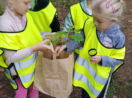 Gr. III Wycieczka do lasu