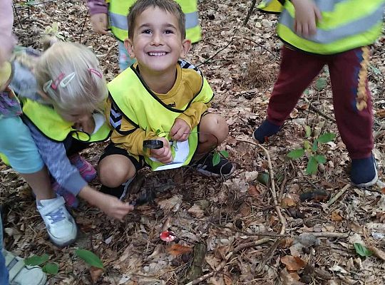 Gr. III Wycieczka do lasu