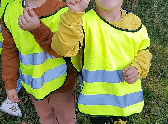 Gr. III Wycieczka do lasu