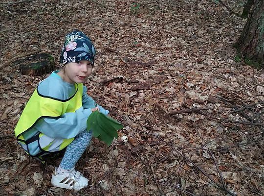 Gr. III Wycieczka do lasu