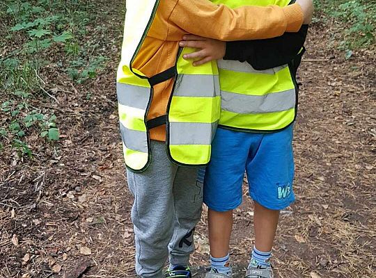 Gr. III Wycieczka do lasu