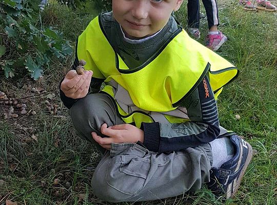 Gr. III Wycieczka do lasu