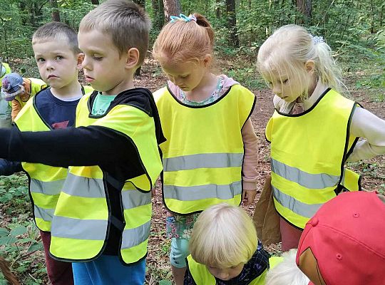 Gr. III Wycieczka do lasu