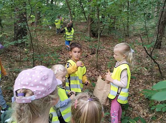 Gr. III Wycieczka do lasu