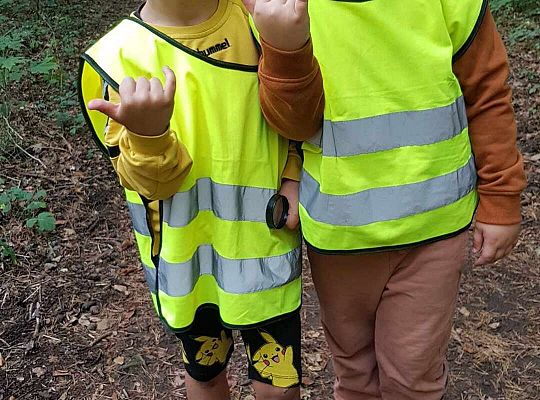 Gr. III Wycieczka do lasu