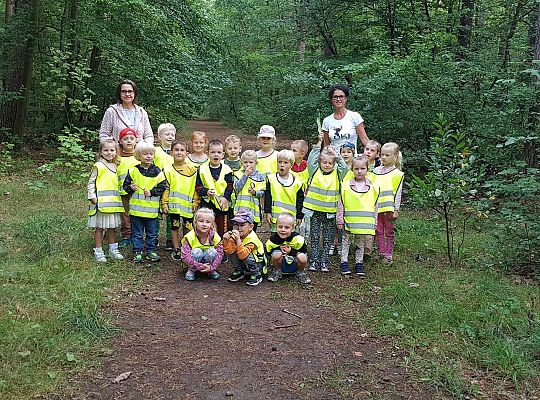 Gr. III Wycieczka do lasu