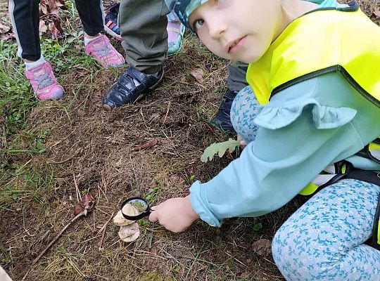 Gr. III Wycieczka do lasu