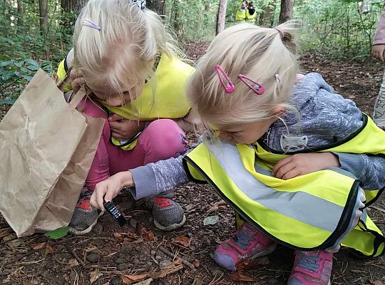 Gr. III Wycieczka do lasu
