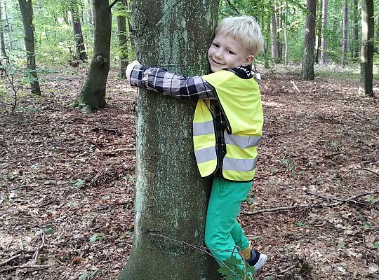 Gr. III Wycieczka do lasu