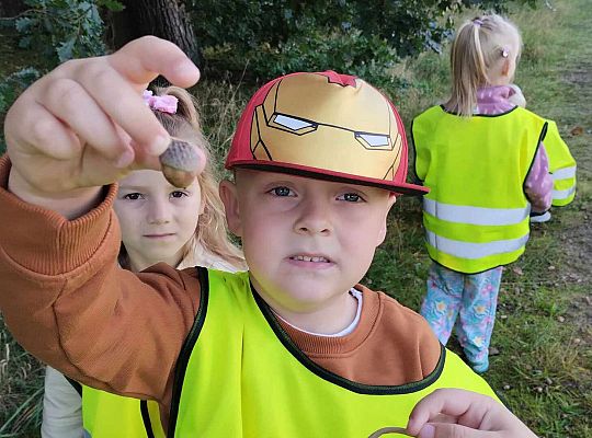 Gr. III Wycieczka do lasu