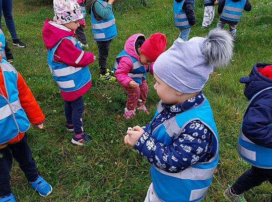 Dzieci szukają jesieni