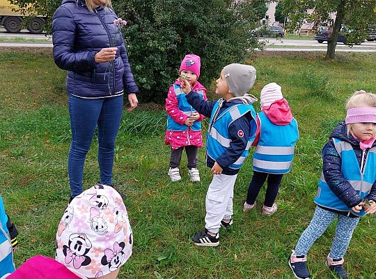 Dzieci szukają jesieni