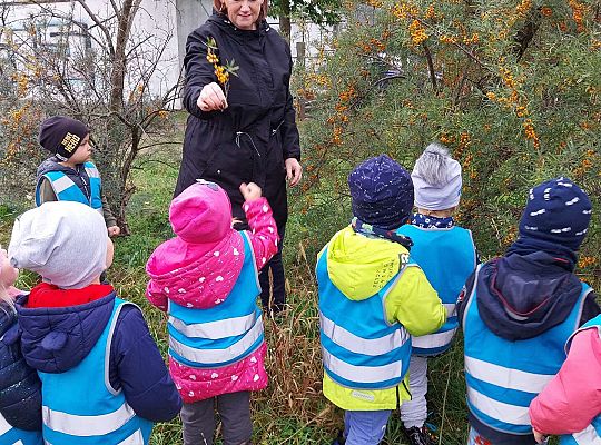 Dzieci szukają jesieni