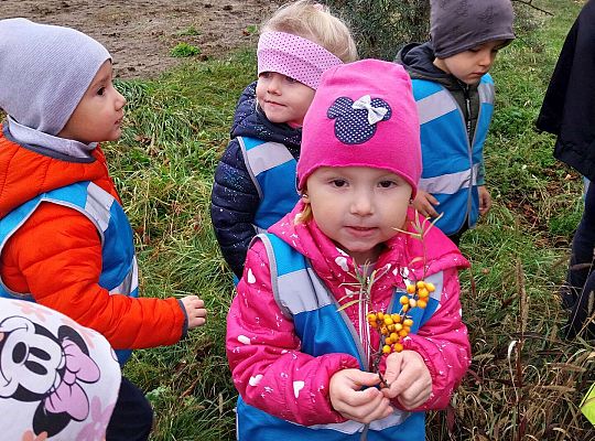 Dzieci pokazują znaleziska