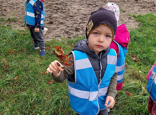 Dzieci pokazują znaleziska