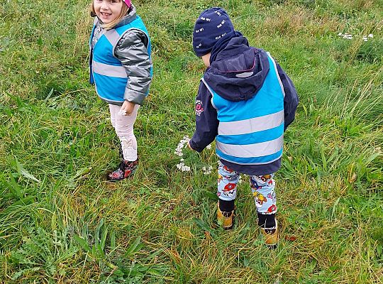 Dzieci szukają jesieni