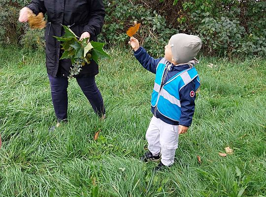Dzieci szukają jesieni