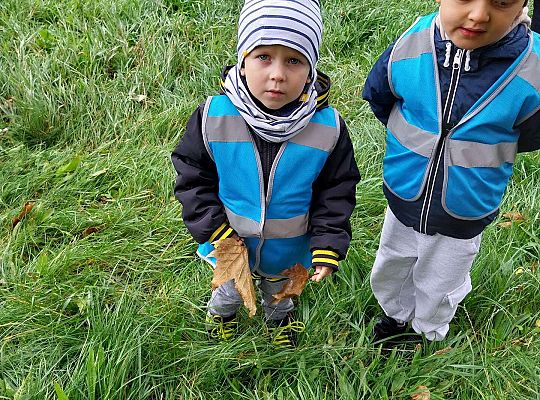 Dzieci szukają jesieni