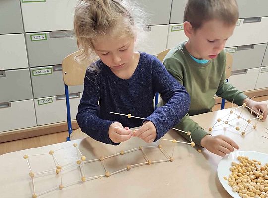 Gr. III Freblowskie konstrukcje - Zajęcia z projektu "Zabawa Sztuką"