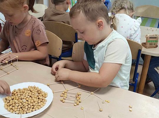 Gr. III Freblowskie konstrukcje - Zajęcia z projektu "Zabawa Sztuką"