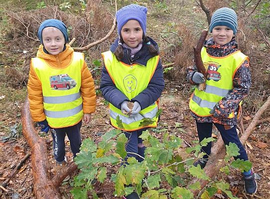 Dzieci w lesie przy drzewach