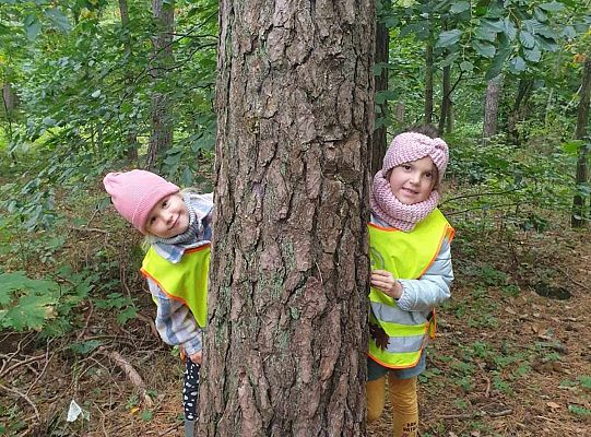 Dzieci w lesie przy drzewach