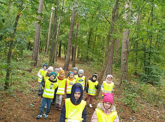 Dzieci w lesie przy drzewach