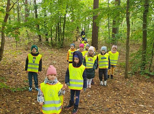 Dzieci w lesie przy krzewach